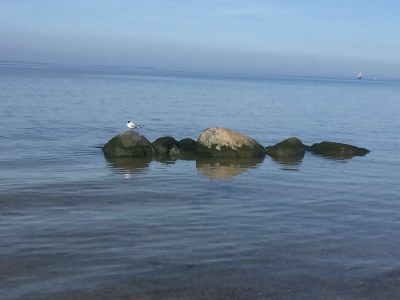 Holiday apartment Maritim - Environment photo 19