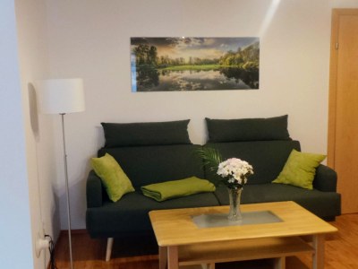 Holiday apartment Mussels with terrace - Features photo 12