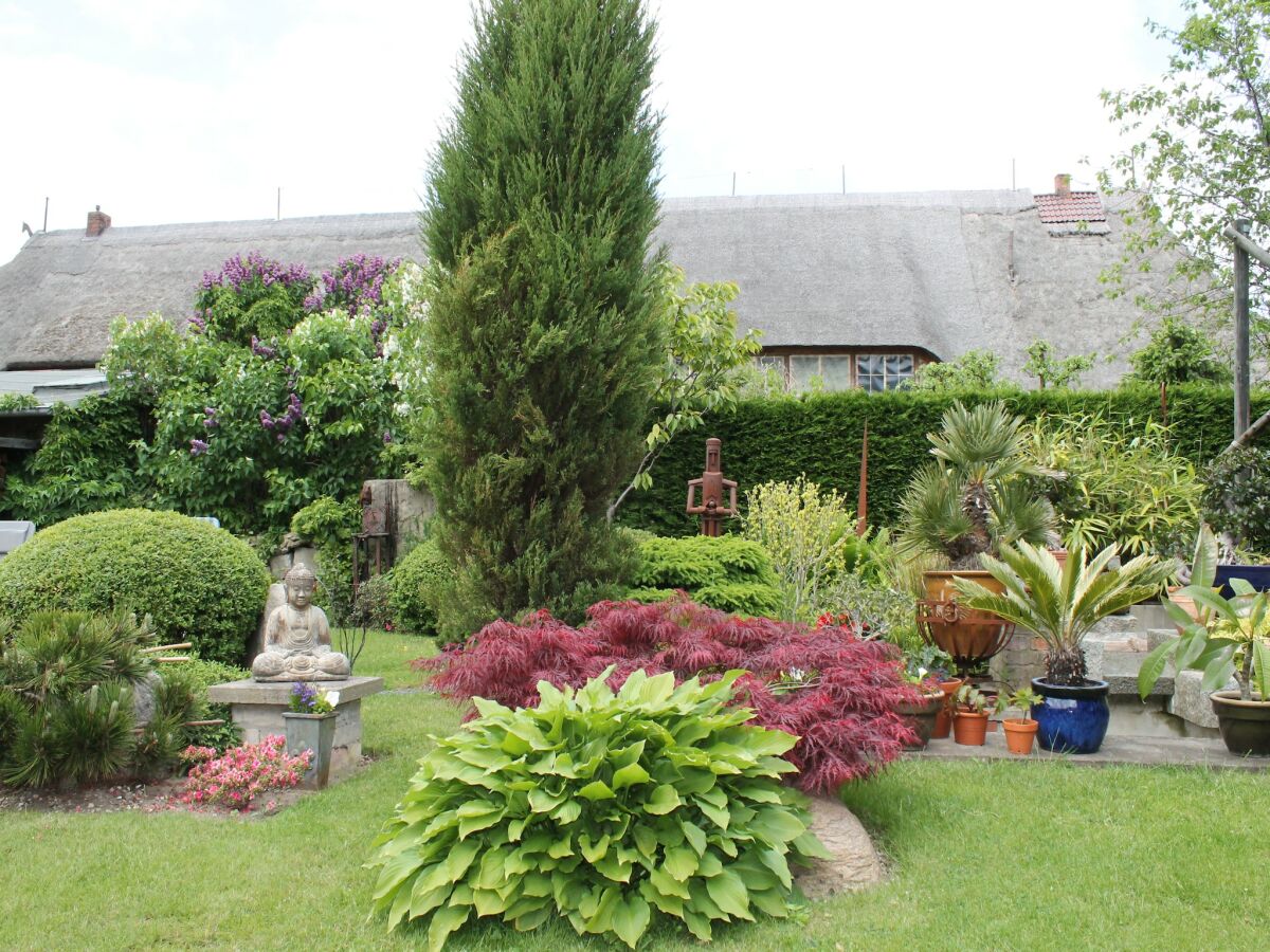 Apartment Ferienwohnung Gerda in Ostseenähe - Outdoor photo 2