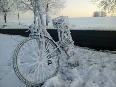 Apartment Ferienwohnung am Meer in Rerik - Environment photo 33