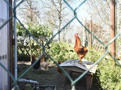 Apartment Ferienwohnung am Meer in Rerik - Outdoor photo 37
