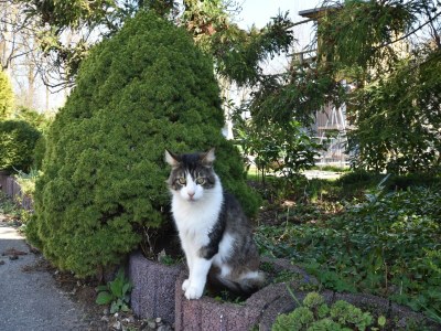 Apartment Ferienwohnung am Meer in Rerik - Outdoor photo 39