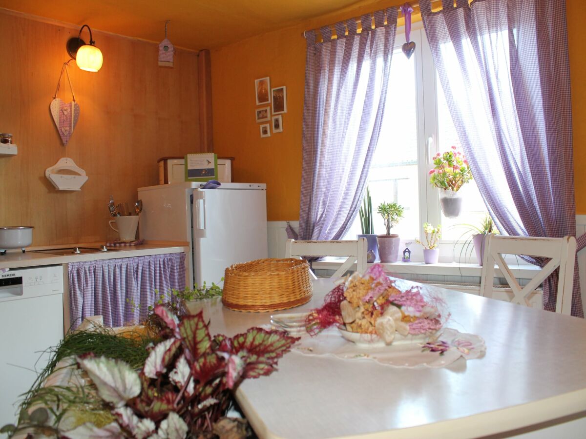 Apartment Wohnung mit Garten in Damgarten - Features photo 5