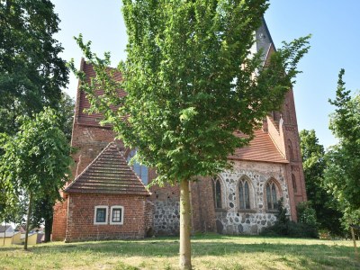 Apartment Wohnung mit Garten in Damgarten - Environment photo 18