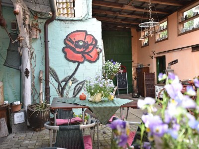 Apartment Wohnung mit Garten in Damgarten - Environment photo 21