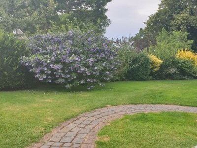 Holiday house Modernes Ferienhaus mit Garten in Kägsdorf - Outdoor photo 2