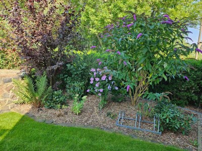 Holiday house Modernes Ferienhaus mit Garten in Kägsdorf - Outdoor photo 3