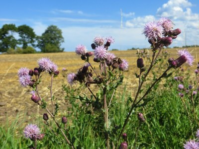 Holiday house Modernes Ferienhaus mit Garten in Kägsdorf - Outdoor photo 45