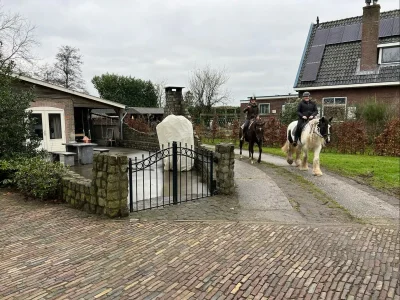Holiday house Ferienhaus in Olst-Wijhe mit Sauna - Outdoor photo 5