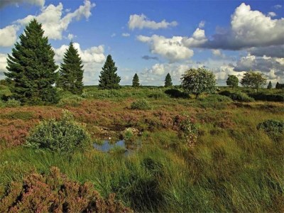 Apartment Moderne Ferienwohnung in Meeresnähe in Tarnewitz - Environment photo 19