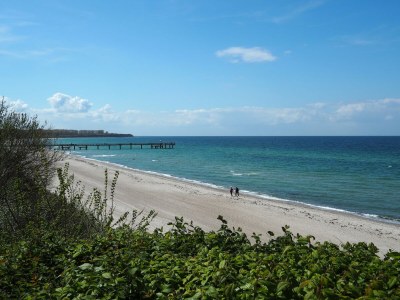 Holiday house Freistehendes Ferienhaus in Rerik mit Sauna - Environment photo 20
