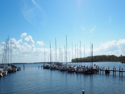 Holiday house Freistehendes Ferienhaus in Rerik mit Sauna - Environment photo 24