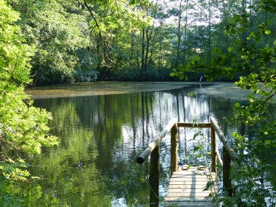 Holiday house WERTS HOF | Ferienhaus - Environment photo 21