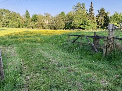 Holiday apartment Hamburg - Environment photo 21