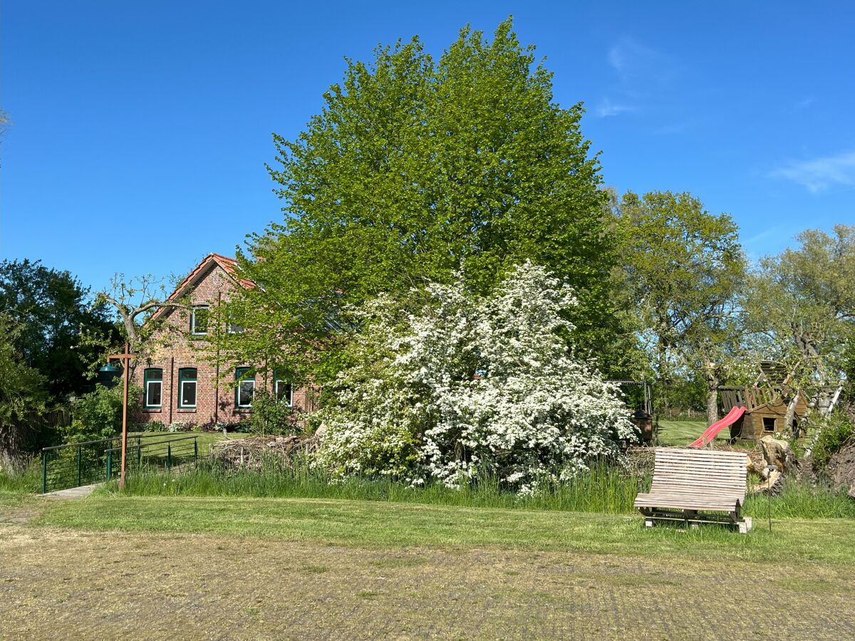 Cottage Zappland - Outdoor photo 4