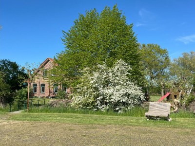 Cottage Zappland - Outdoor photo 4