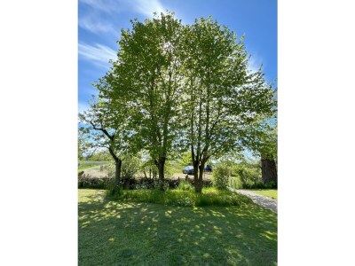 Cottage Zappland - Outdoor photo 7