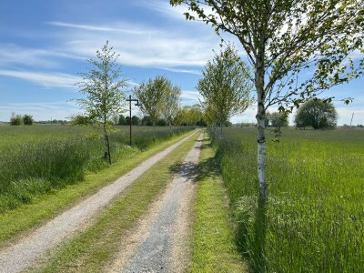 Cottage Zappland - Outdoor photo 8