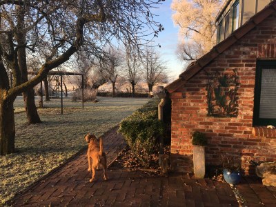 Cottage Zappland - Outdoor photo 9