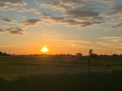 Cottage Zappland - Environment photo 29