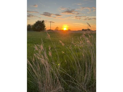 Cottage Zappland - Environment photo 30