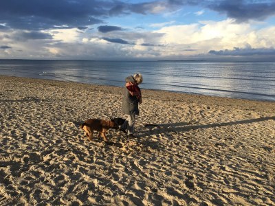 Cottage Zappland - Environment photo 34