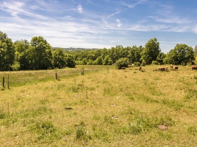 Villa Villa mit Pool in Corrèze - Outdoor photo 7