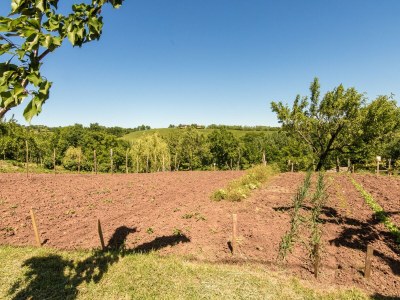 Villa Villa mit Pool in Corrèze - Environment photo 35