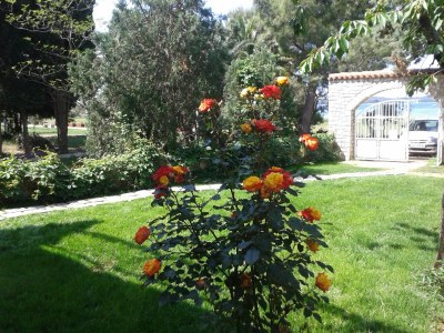 Holiday apartment Maslina A - Outdoor photo 4