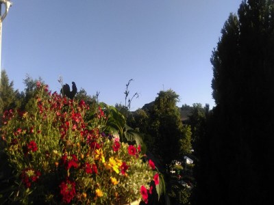 Apartment Wohnung im 1. Stock bei Willingen - Outdoor photo 2