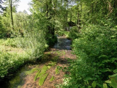Apartment Wohnung im 1. Stock bei Willingen - Environment photo 32
