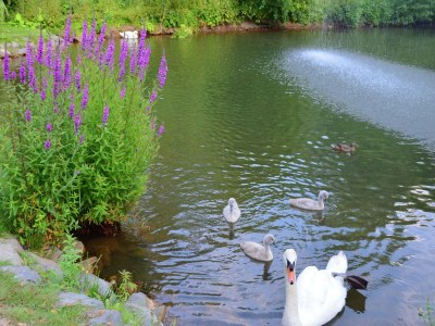 Apartment Wohnung mit eigener Terrasse in Hüddingen - Environment photo 20