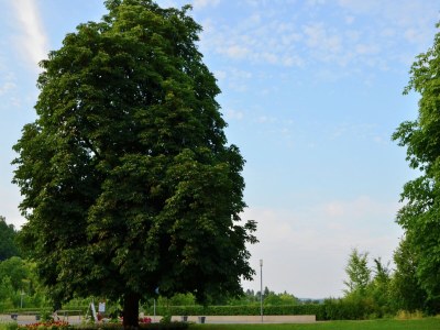 Apartment Wohnung mit eigener Terrasse in Hüddingen - Environment photo 26