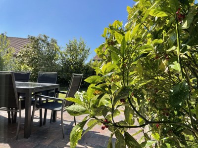 Holiday house Yperhof 25 - Outdoor photo 5