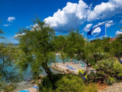 Holiday apartment Goldfisch - Environment photo 16