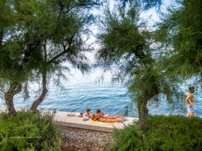 Holiday apartment Goldfisch - Environment photo 20