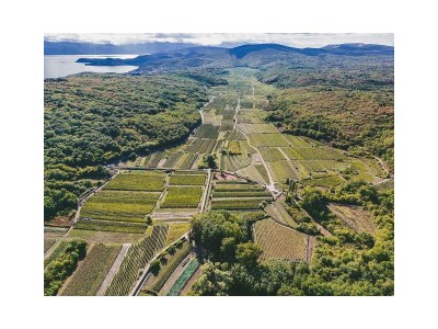 Holiday apartment Goldfisch - Environment photo 23