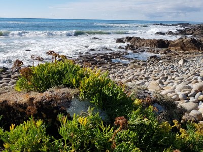 Holiday house Liors Ar Mor - Environment photo 28