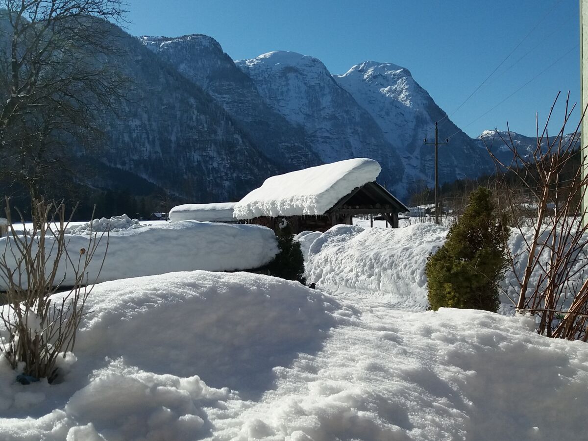 Holiday apartment Landhaus Bergidyll - Outdoor photo 2