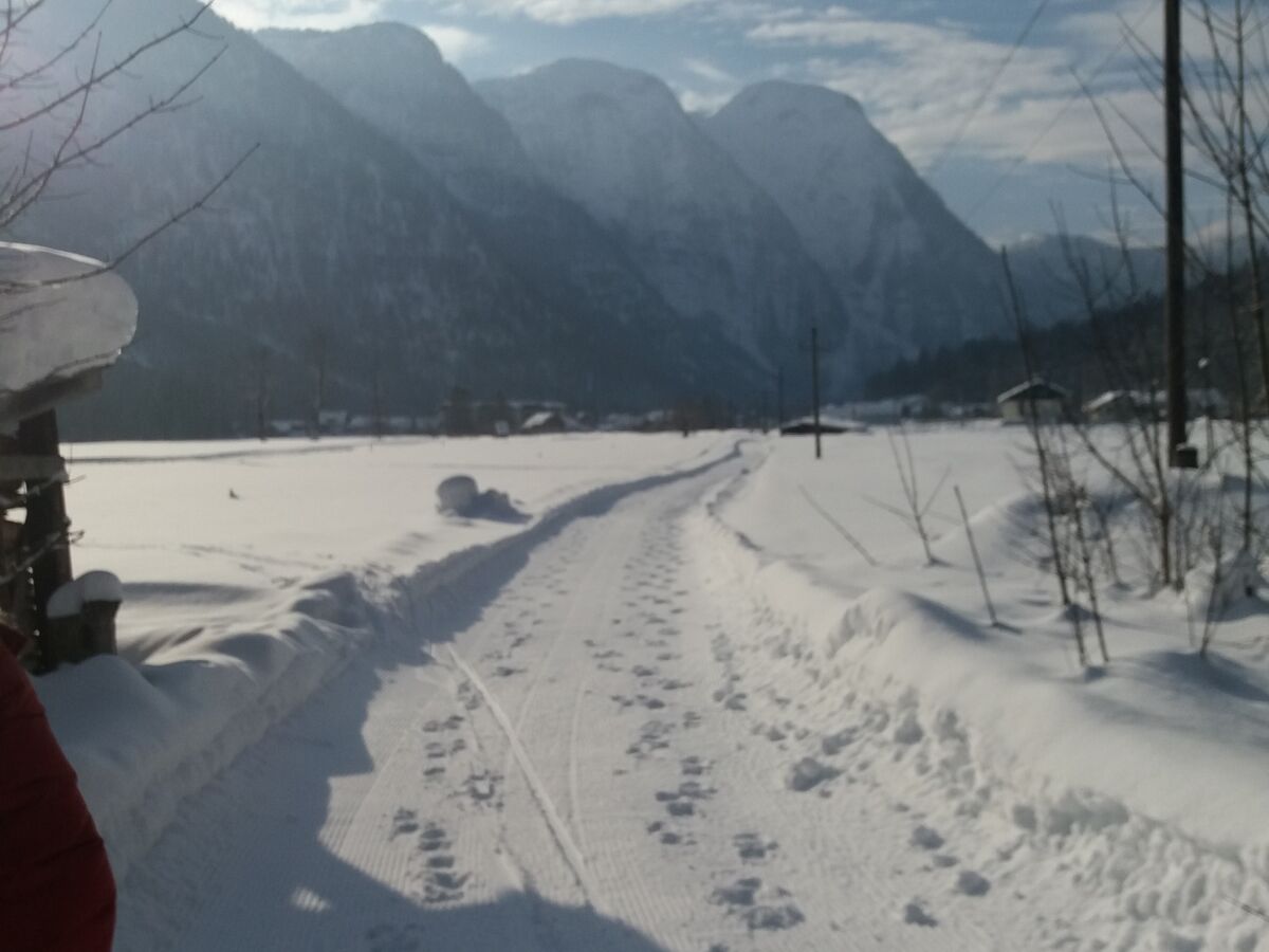 Holiday apartment Landhaus Bergidyll - Outdoor photo 5