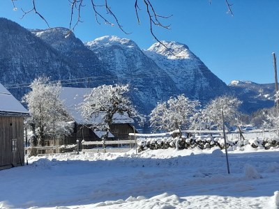 Holiday apartment Landhaus Bergidyll - Outdoor photo 3