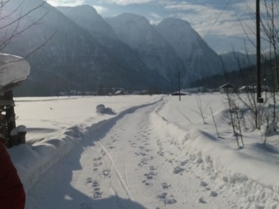 Holiday apartment Landhaus Bergidyll - Outdoor photo 5