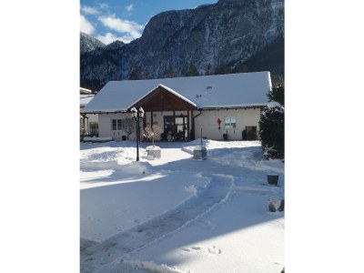 Holiday apartment Landhaus Bergidyll - Outdoor photo 7