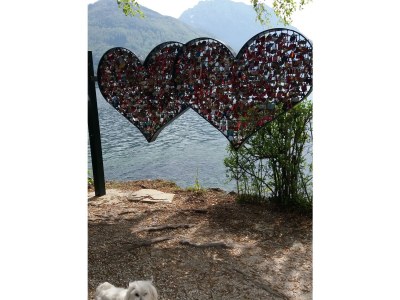 Holiday apartment Landhaus Bergidyll - Outdoor photo 14