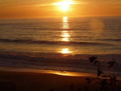 Villa Labenne-Océan - Environment photo 37