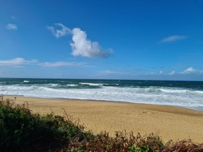 Villa Labenne-Océan - Environment photo 38