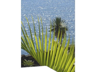 Apartment Coco - Outdoor photo 7