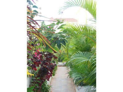 Apartment Coco - Outdoor photo 9