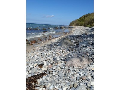 Holiday house Leni & Mia´s Ferienhaus - Outdoor photo 7