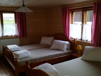 Alpine hut Heimatsberg farmhouse. - Features photo 13